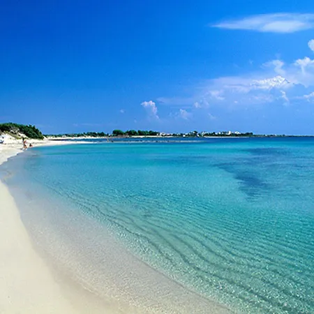 Degli Oleandri, * Gallipoli