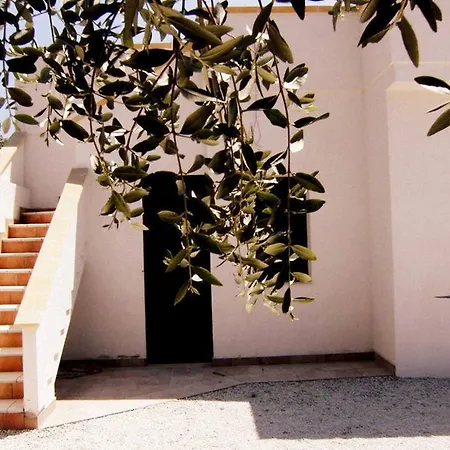 Degli Oleandri,