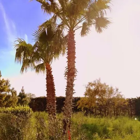 Degli Oleandri, Villa Gallipoli
